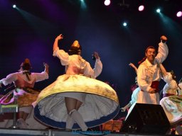 Festival de Folkore en Mula